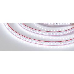 Светодиодная Лента герметичная RTW-PS-A120-10mm 24V White6000 (9.6 W/m, IP67, 2835, 5m) (Arlight, 9.6 Вт/м, IP67)