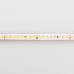 Светодиодная Лента герметичная RTW-PS-A160-10mm 24V Warm2700 (12 W/m, IP67, 2835, 5m) (Arlight, 12 Вт/м, IP67)