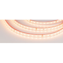 Светодиодная Лента герметичная RTW-PS-A80-10mm 24V Warm3500 (6 W/m, IP67, 2835, 5m) (Arlight, 6 Вт/м, IP67)