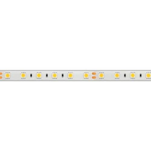 Светодиодная Лента герметичная RTW-PS-B60-12mm 24V Day4000 (14.4 W/m, IP67, 5060, 5m) (Arlight, 14.4 Вт/м, IP67)