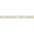 Светодиодная Лента герметичная RTW-PS-B60-12mm 24V Day4000 (14.4 W/m, IP67, 5060, 5m) (Arlight, 14.4 Вт/м, IP67)