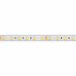 Светодиодная Лента герметичная RTW-PW-B60-13mm 24V Day4000 (14.4 W/m, IP66, 5060, 5m) (Arlight, -)