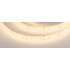 Светодиодная Лента герметичная RTW-SE-A240-15mm 24V Warm3000 (19.2 W/m, IP65, 2835, 5m) (Arlight, -)