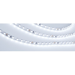 Светодиодная Лента RT 2-5000 24V Cool 8K 5mm 2x (3528, 600 LED, LUX) (Arlight, 9.6 Вт/м, IP20)