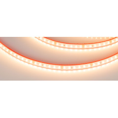 Светодиодная Лента герметичная RTW-PS-A120-10mm 24V Warm2700 (9.6 W/m, IP67, 2835, 5m) (Arlight, 9.6 Вт/м, IP67)