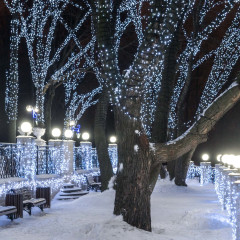 Светодиодная гирлянда ARD-STRING-PRO-10000-GREEN-100LED-FLASH WHITE (230V, 7W) (Ardecoled, IP65)