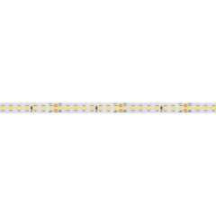 Светодиодная Лента RT 2-5000-50m 24V Day4000 2x (2835, 160 LED/m, LUX) (Arlight, 12 Вт/м, IP20)