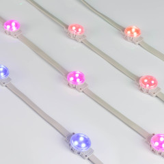 Модуль управляемый SPI-F3-D30 12V RGB-RAM-Auto (0.6W, IP68, 120 deg) (Arlight, Пластик, 3 года)