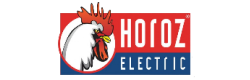 Horoz Electric