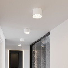 Banti 13W 3000K белый (25123/LED / Светильник потолочный светодиодный 25123/LED