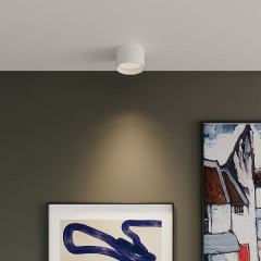 Banti 13W 3000K белый (25123/LED / Светильник потолочный светодиодный 25123/LED