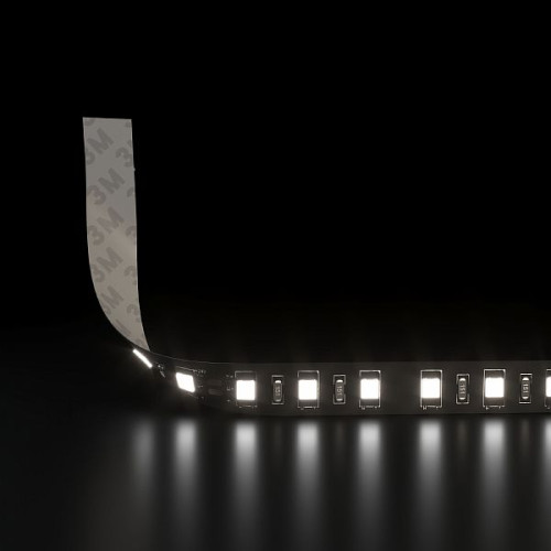 Лента светодиодная 120Led 9,6W IP20 6500K холодный белый (2835 24V 120Led 9,6W IP20 Black) 2835 24V 120Led 9,6W IP20 Black