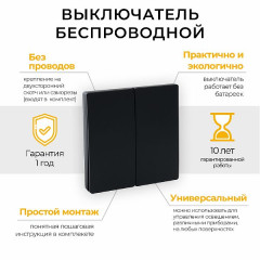 Выключатель беспроводной FERON, TM82 SMART, 230V, 500W, двухклавишный, черный , 41723