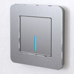 Рамка на 1 пост Platinum алюминий W0012606