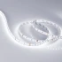 Светодиодная Лента MICROLED-5000HP 24V White6000 8mm (2216, 120 LED/m, LUX) (Arlight, 14 Вт/м, IP20)