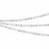 Лента RS-S120-8mm 24V Blue (9.6 W/m, IP20, 3014, 5m) (Arlight, боковое свечение)