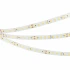Светодиодная Лента ULTRA-C112-10mm 24V Day4000 (19.2 W/m, IP20, 5630, 5m) (Arlight, высок.эфф.160 лм/Вт)