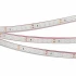 Светодиодная Лента герметичная RTW-PFS-A120-11mm 24V Blue (9.6 W/m, IP68, 2835, 5m) (Arlight, -)