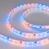 Светодиодная Лента герметичная SPI-P-B60-12mm 12V RGB-PX3 (14.4W/m, IP66, 5060, 5m) (Arlight, бегущий огонь)
