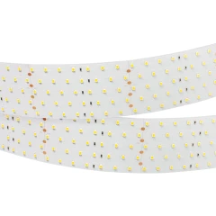 Светодиодная Лента RT 2-2500 24V Day4000 5x2 (2835, 875 LED, LUX) (Arlight, 36 Вт/м, IP20)