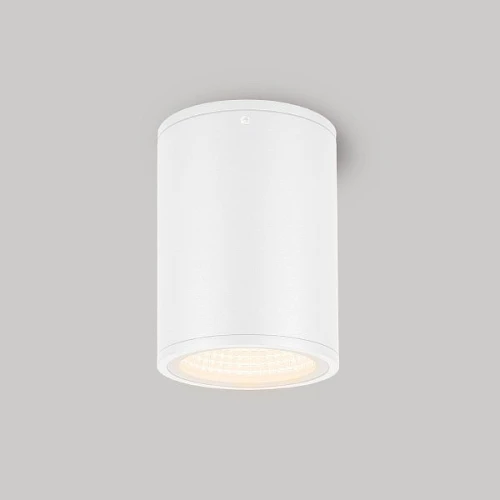 Светильник LGD-FORMA-SURFACE-R90-12W Day4000 (WH, 44 deg, 230V) (Arlight, IP54 Металл, 3 года)