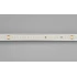 Светодиодная Лента IC 2-50000 48V Cool 8K 12mm (2835, 144 LED/m, LUX) (Arlight, 5.8 Вт/м, IP20)