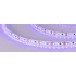 Светодиодная Лента RT-A120-8mm 12V UV400 (9.6 W/m, IP20, 2835, 5m) (Arlight, Открытый)