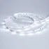 Светодиодная Лента RT 2-5000 24V Cool 8K 0.5x (3528, 150 LED, LUX) (Arlight, 2.9 Вт/м, IP20)