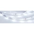 Светодиодная Лента RT 2-5000 24V Cool 8K 0.5x (3528, 150 LED, LUX) (Arlight, 2.9 Вт/м, IP20)