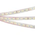 Светодиодная Лента герметичная RTW-PFS-B60-13mm 12V Day5000 (14.4 W/m, IP68, 5060, 5m) (Arlight, 14.4 Вт/м, IP68)