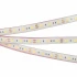 Светодиодная Лента герметичная RTW-PFS-B60-13mm 12V Day5000 (14.4 W/m, IP68, 5060, 5m) (Arlight, 14.4 Вт/м, IP68)