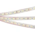 Светодиодная Лента герметичная RTW-PFS-B60-13mm 12V Day5000 (14.4 W/m, IP68, 5060, 5m) (Arlight, 14.4 Вт/м, IP68)
