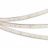 Светодиодная Лента герметичная RTW-PFS-B60-13mm 24V Day4000 (14.4 W/m, IP68, 5060, 5m) (Arlight, 14.4 Вт/м, IP68)