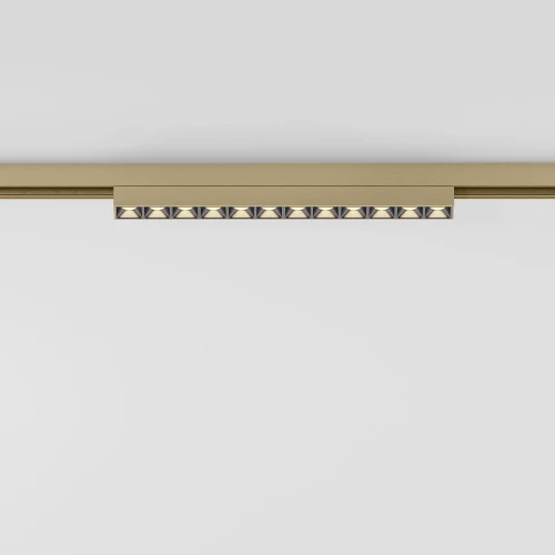 Brass Line Трековый светильник 10W 3000K латунь 85528/01