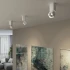 Светильник потолочный светодиодный 25043/LED 10W 4000K белый 25043/LED