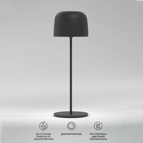 Светильник светодиодный настольный Bitty черный IP54 TL70260