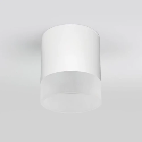 Накладной светодиодный влагозащищенный светильник IP54 35140/H белый